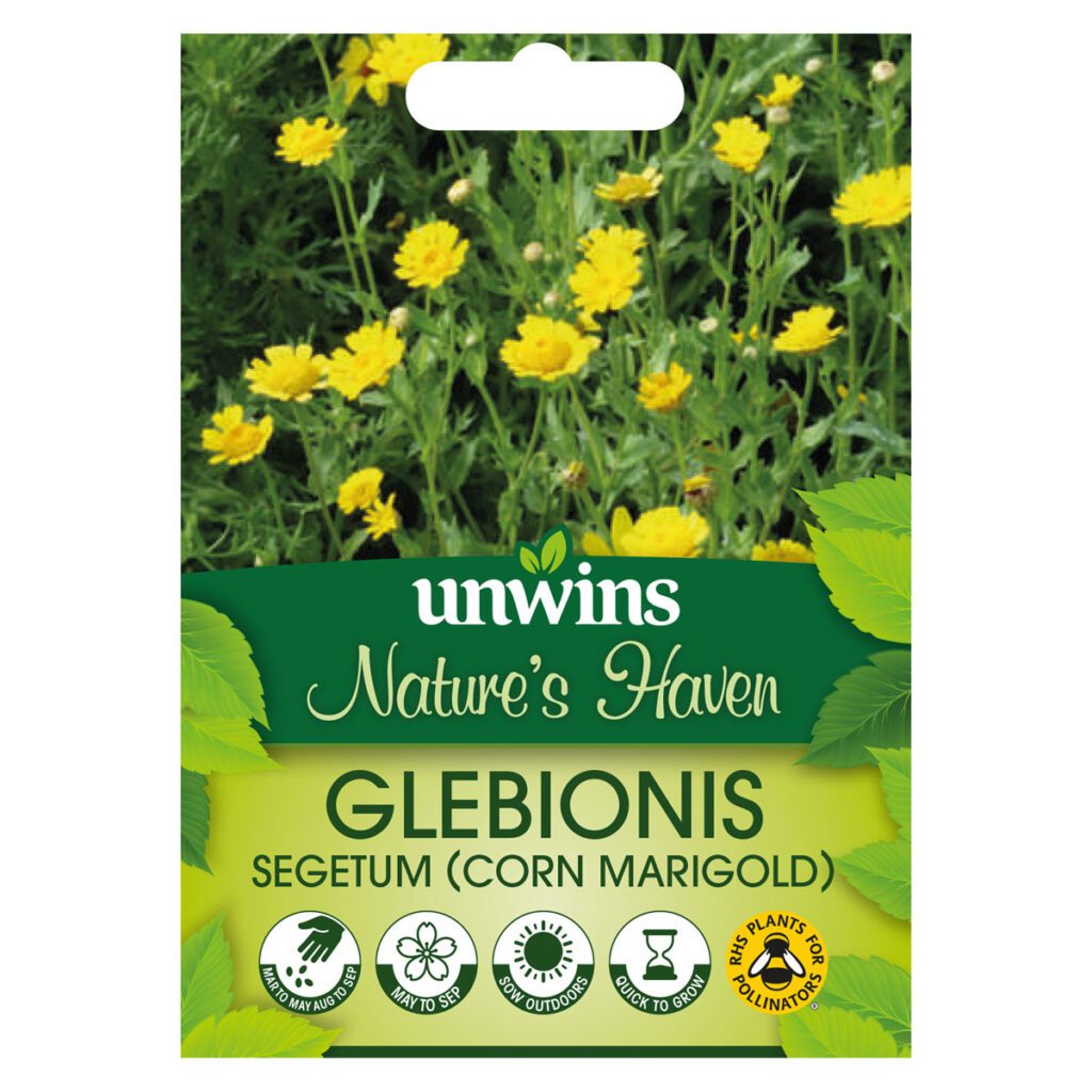 Nature’s Haven Glebionis Corn Marigold Seeds 5051618035279 2